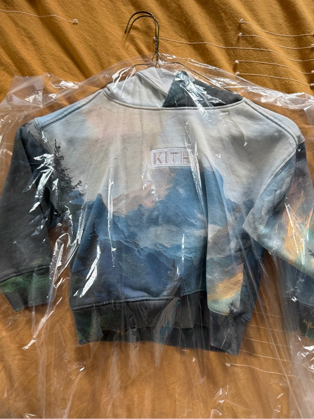Kith Kids 3T Scenic Nelson Print - Blue Multicolor